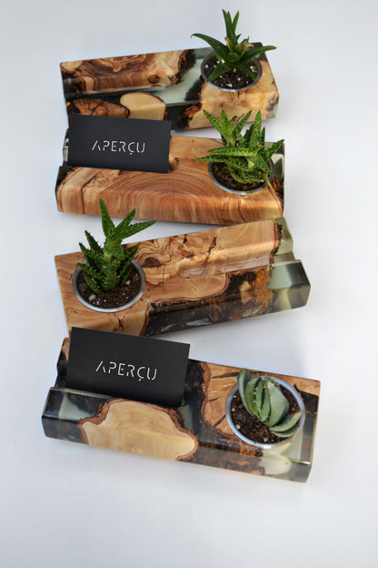 Card Holder and Planter