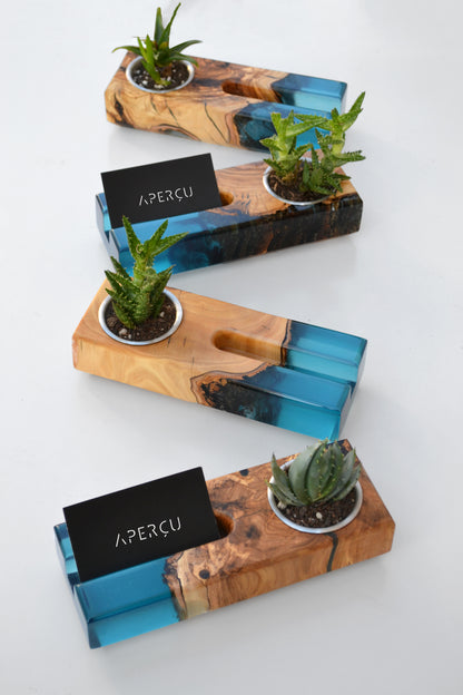 Card Holder and Planter