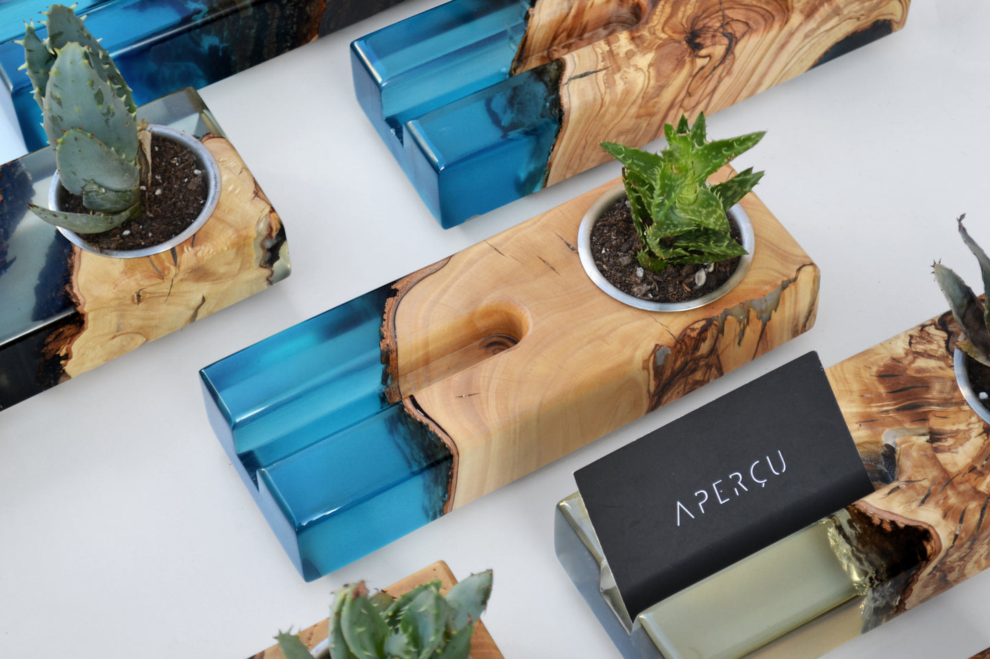 Card Holder and Planter