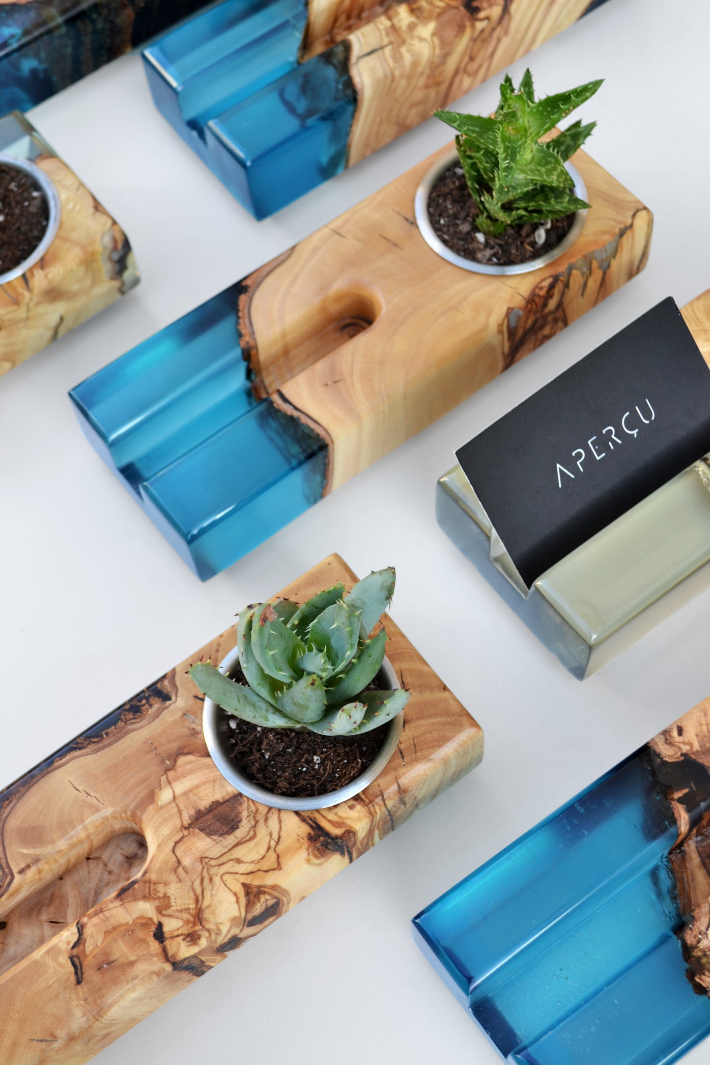 Card Holder and Planter